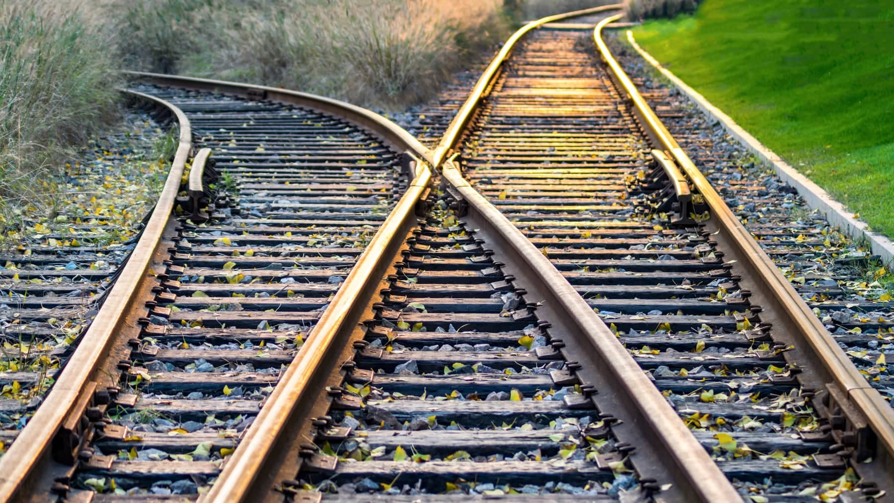 Railway tracks meeting at a switch, one line curving away to the left while the other continues ahead, with fallen leaves on the ballast.