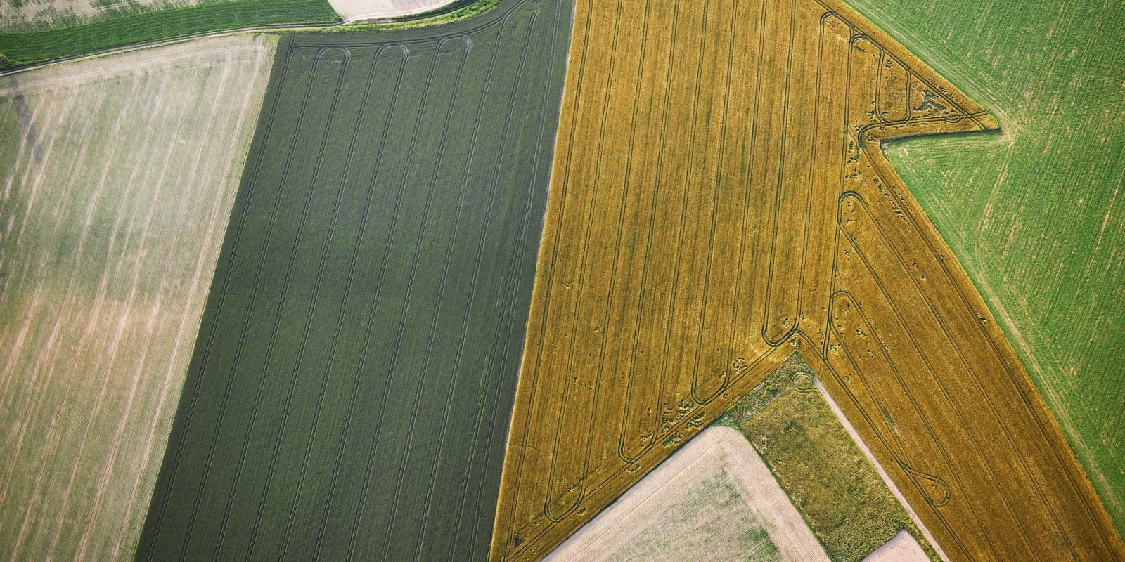 An aerial view of adjacent farm fields in different crops and colours meeting at hard boundaries — a patchwork of separate plots.